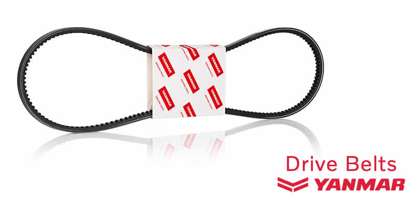 Picture for category Yanmar Marine Drive Belts